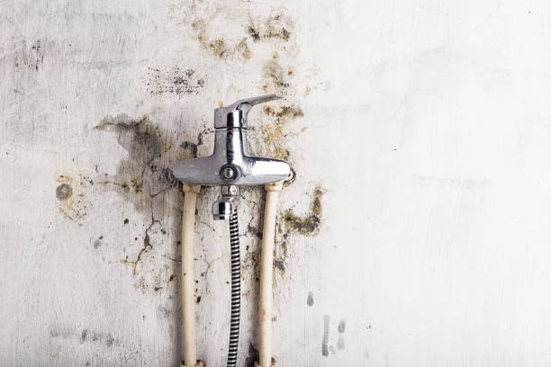 Water Damage Restoration in Lakeside, CA