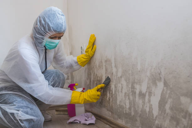 Best Crawl Space Mold Removal  in Lakeside, CA