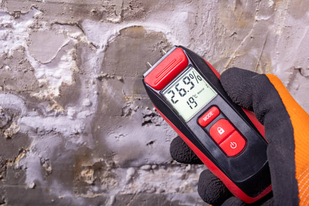 Best Mold Damage Repair  in Lakeside, CA
